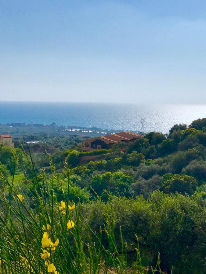 Villa Verde Ano Kalon Neron Extérieur photo